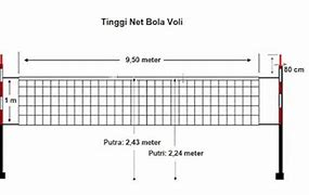 Ukuran Net Voli Anak Sd